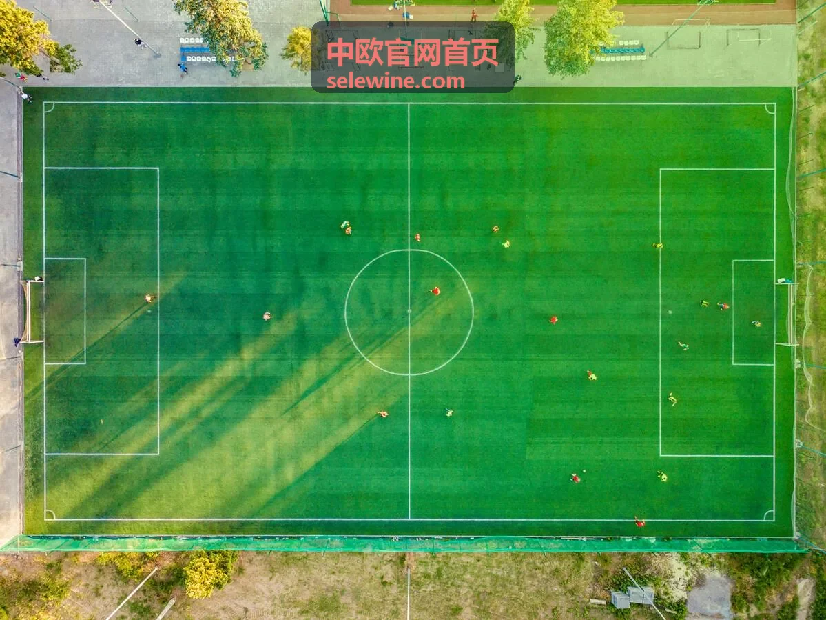 中欧官网首页名庄与品牌系列：酒庄橡木桶与酒瓶
